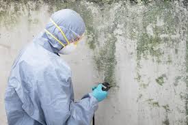 Best HVAC Mold Inspection and Cleaning  in Gore, OK